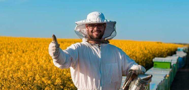 Пчеловодство как основной доход